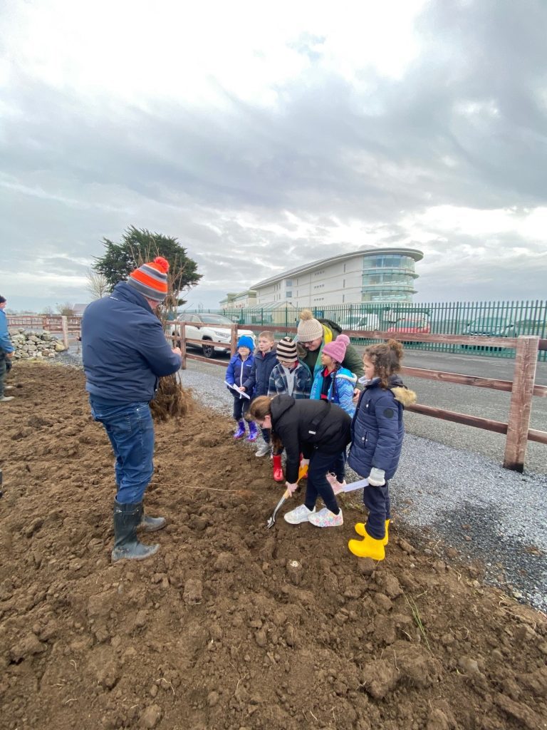 Galway Racecourse Joins The 100 Million Trees Project