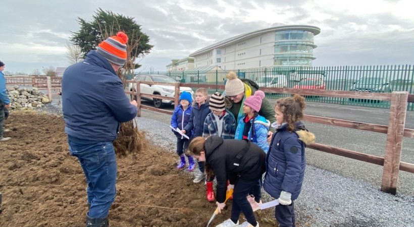 Galway Racecourse Joins The 100 Million Trees Project