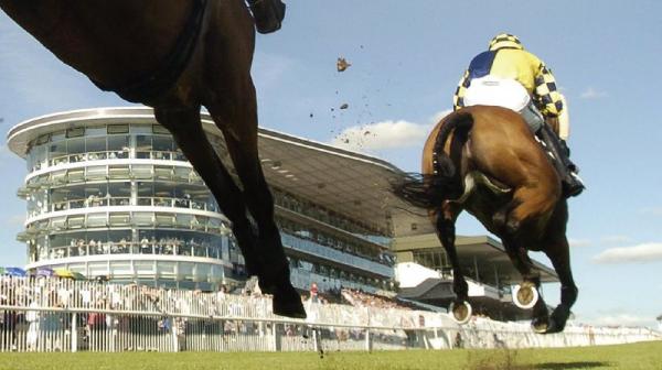 Local Pretender heads entries for Guinness Galway Hurdle