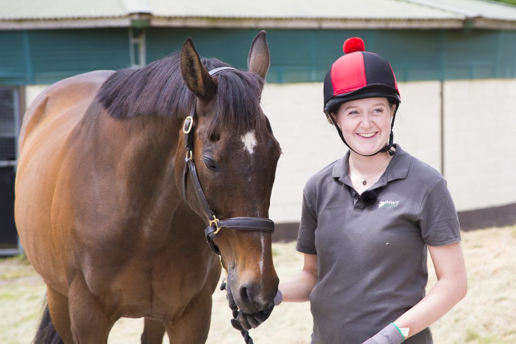 Supporting the Thoroughbred Horse with the Team at the Irish Horse Welfare Trust