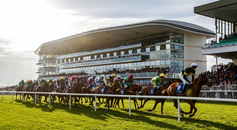 The Countdown To The Summer Festival Has Begun